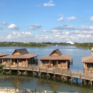 Meet your Posher, Viorica